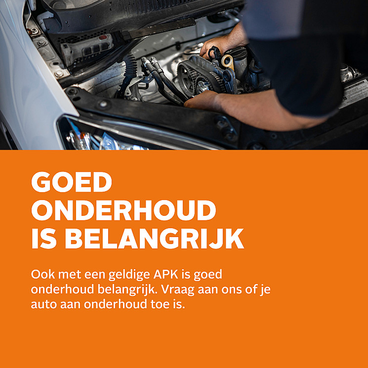 Carteam Autobedrijf Boom