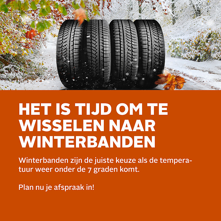 Carteam Autobedrijf Boom